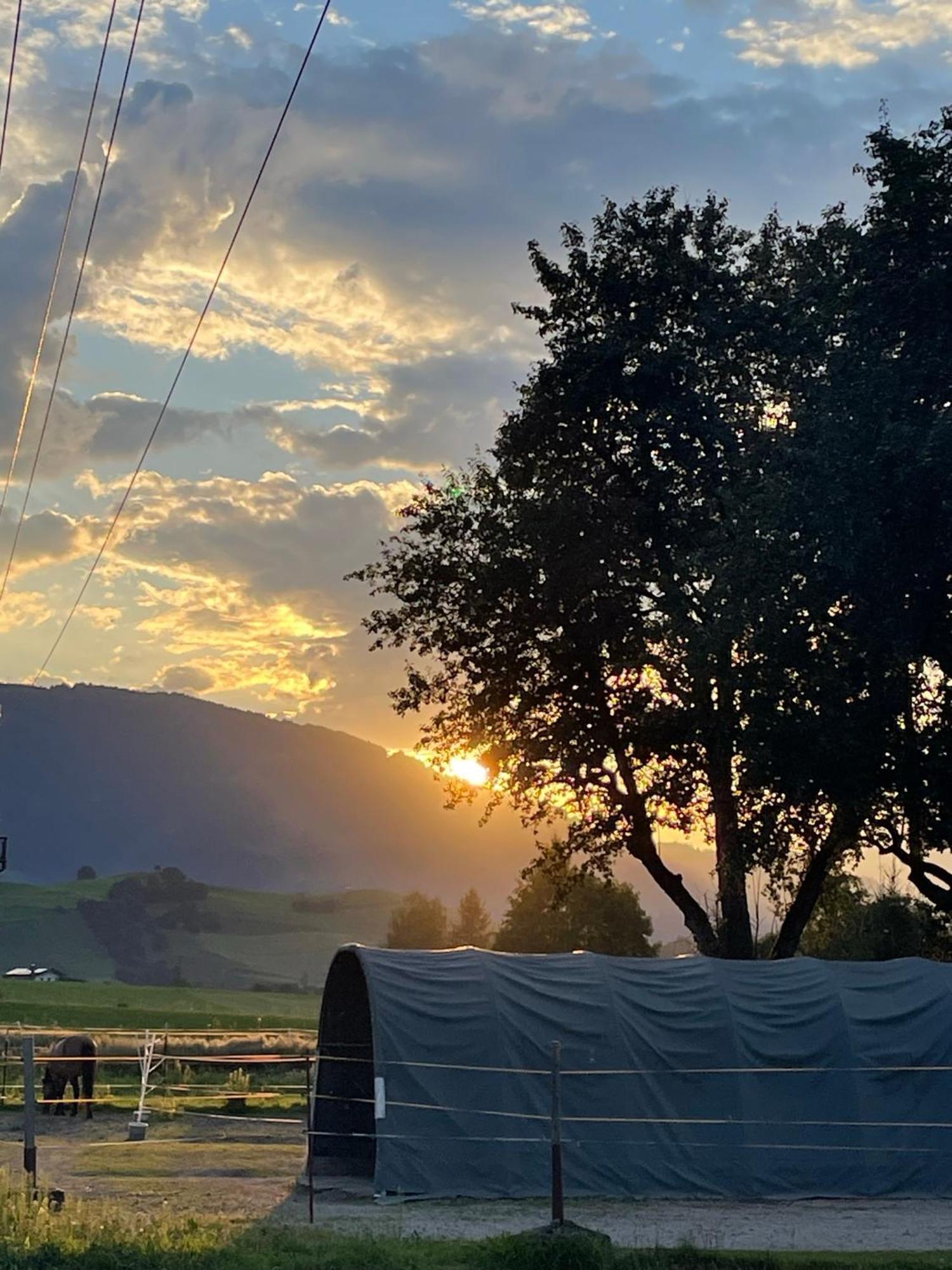Obermuehlhof Lägenhet Saalfelden Exteriör bild