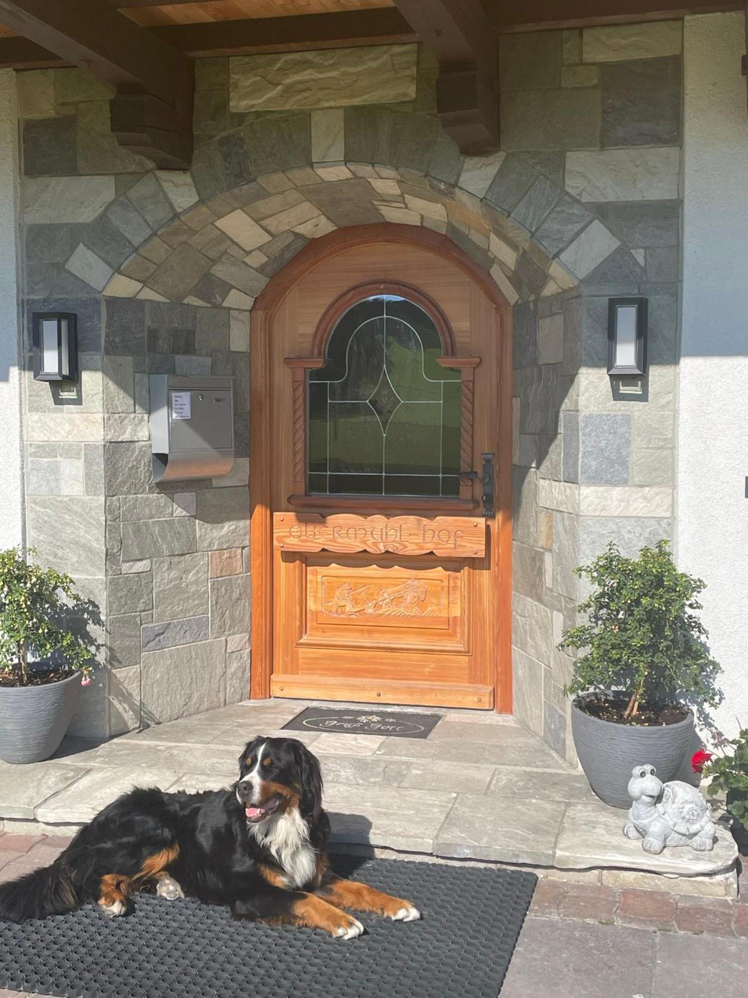 Obermuehlhof Lägenhet Saalfelden Exteriör bild