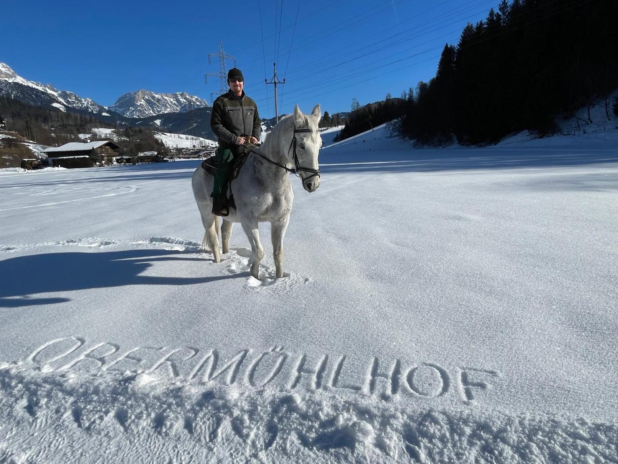 Obermuehlhof Lägenhet Saalfelden Exteriör bild